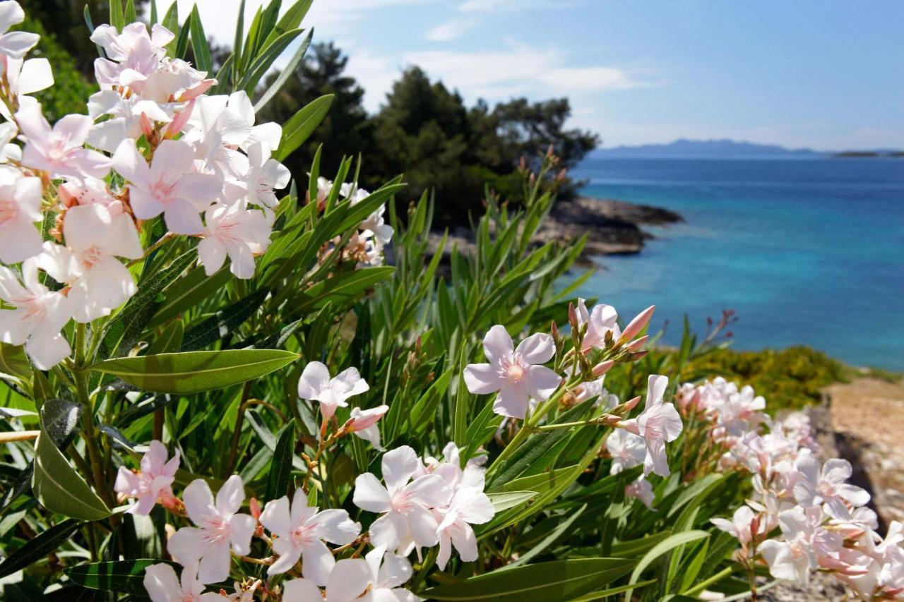 Apartmani Doro Vela Luka Bagian luar foto